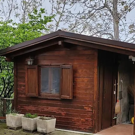 Holiday home Casa Serenita. Arsita